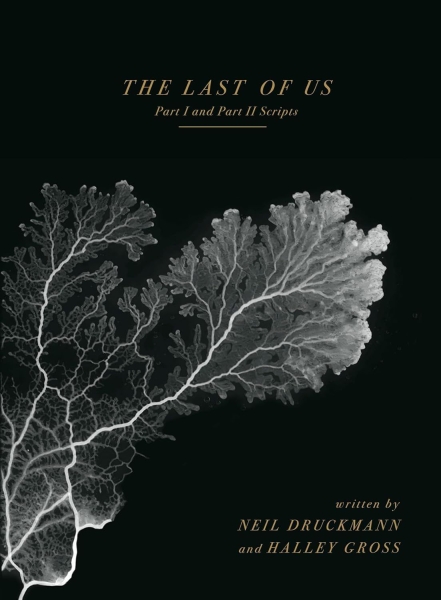"Автор сценария — Нил Дракманн": The Last of Us скоро вернётся в виде книги